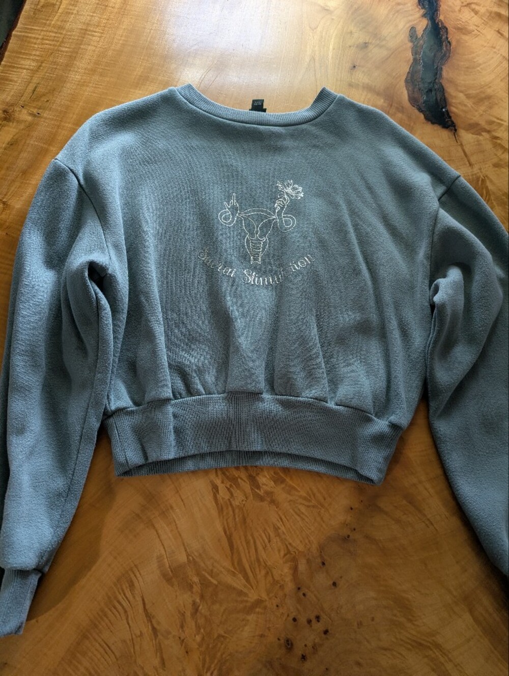 wild fable Cropped Crewneck Sweater in Dusty Teal